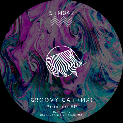 Groovy Cat (MX) - Promise EP [STM042]